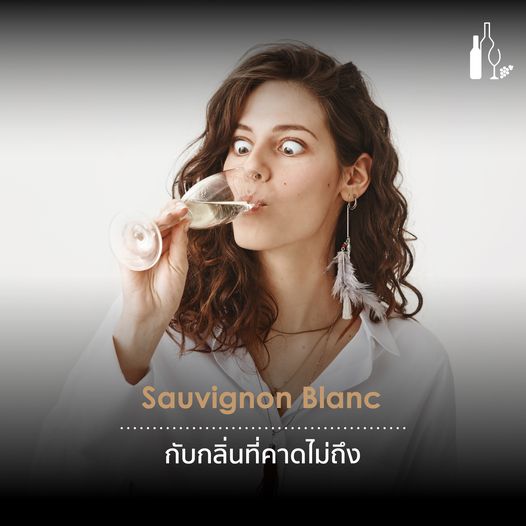 Sauvignon Blanc Wine | Universal Fine Wine and Spirits 